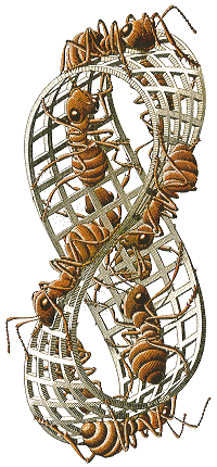 Mobius strip